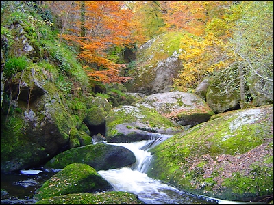 7 -chaos-dhuelgoat-mh2d9